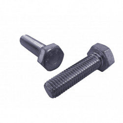 VITE T.E. 8G UNI 5739 10 X...