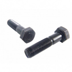 VITE T.E. 8G UNI 5738 10 X...
