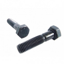 VITE T.E. 10.9 UNI 5737 14...