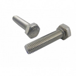 VITE T.E. UNI 5739 AISI 304...