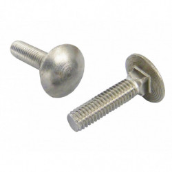 VITE T.T.Q.S.T. UNI 5731...